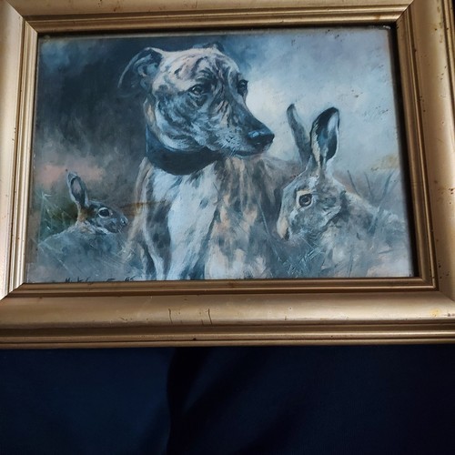Dignaty two hares abd a - abd,