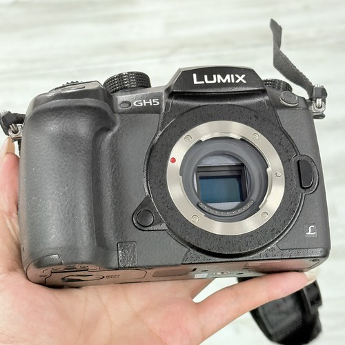 Panasonic lumix gh5 3 - panasonic, 20.3