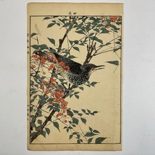 Japanese Woodblock Print “Brown-eared Bulbul” from “Keinen Kacho Gafu”...