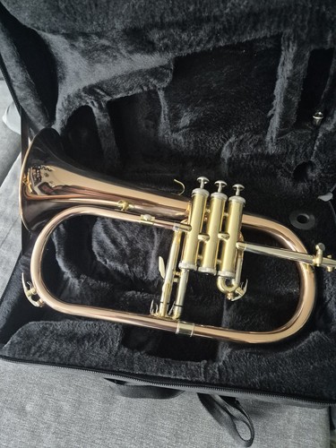 Elkhart 100fhr flugelhorn - elkhart,