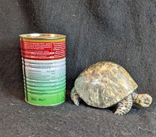 Vintage Carved Stone Tortoise