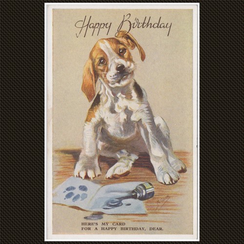 Mabel gear puppy dog birthday - mabel,