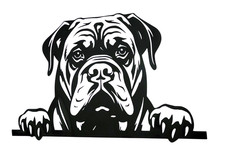 1x Cane Corso Dog Decal Vinyl