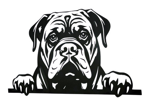 Cane corso dog decal vinyl - 1x,