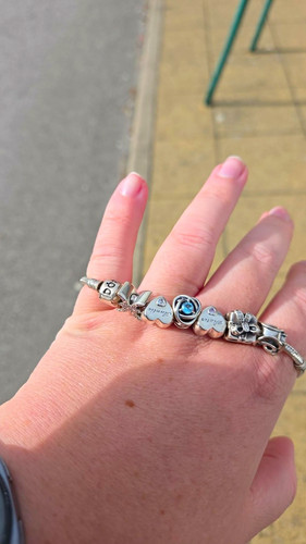 Pandora silver snake chain - snake,
