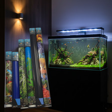 Aquarium Background AquaDella