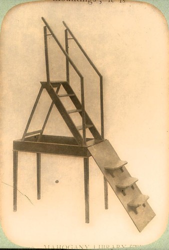 Historical glass slide - slide, 075