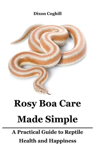 Rosy boa care made - rosy,