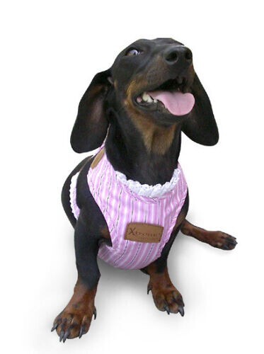 Xtreme pet products soft - pet,