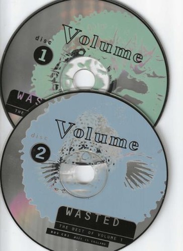 Wasted the best volume 1 - of,