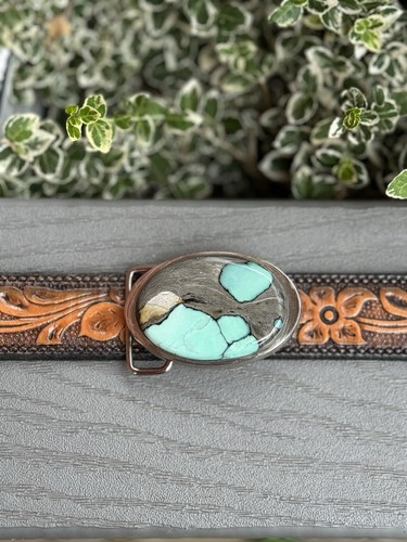 Western desert bloom belt - desert,