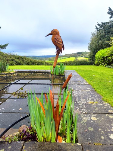 Metal kingfisher the reeds - in,