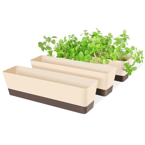 Window box herb - window,