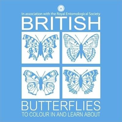 British butterflies colour - butterflies,