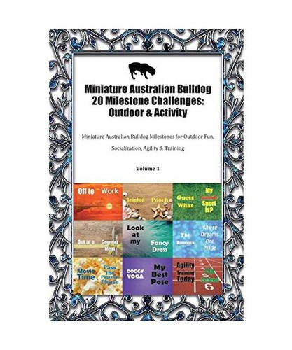 Miniature australian bulldog - miniature,