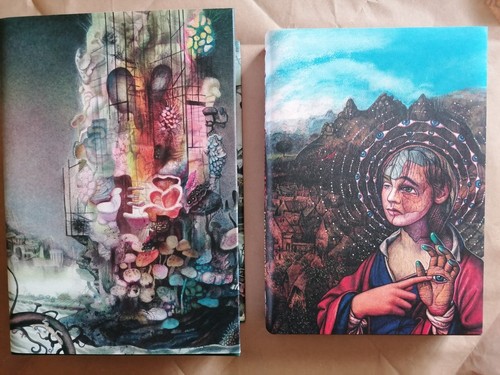 Ambergris jeff vandermeer - by,