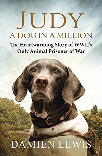 Judy dog million from - a, million: