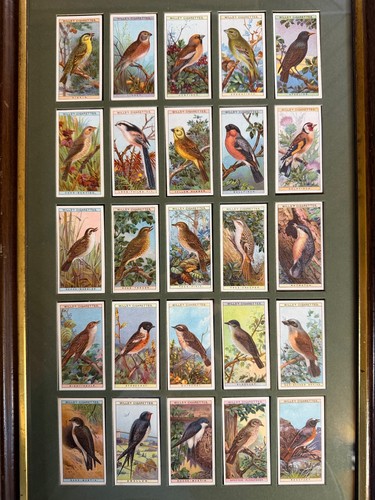 Framed wills cigarettes - wills’s,