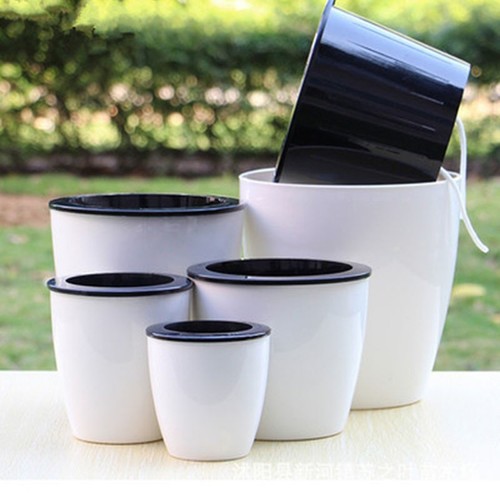 Self watering wicking - self,