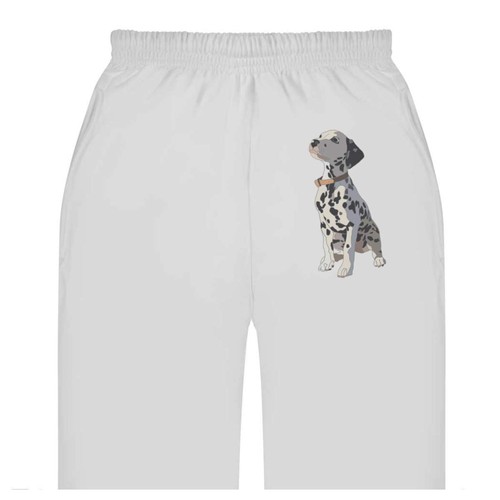 Dalmation puppy adult - puppy',