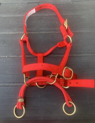Monty roberts dually training - roberts,