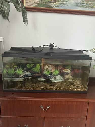 Ciano aquarium led - ciano,