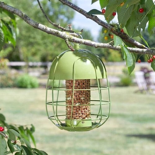 Acorn squirrel proof bird - squirrel,