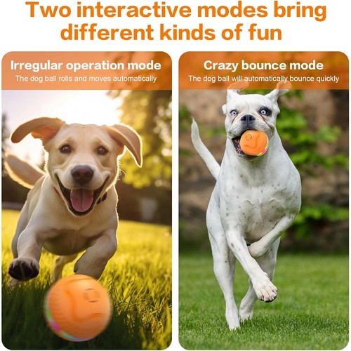 Interactive dog ball - dog,