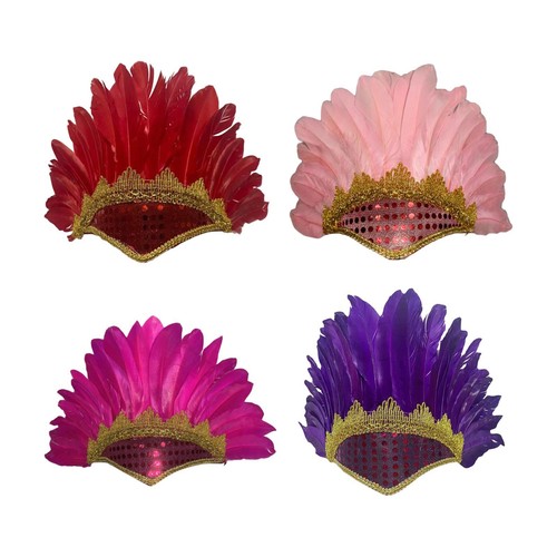 Feather headdress costume - feather,