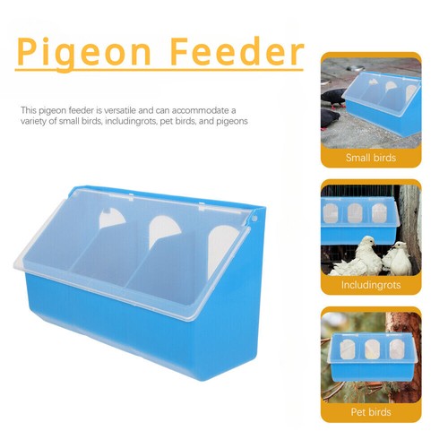 Garden pigeon feeder - garden,