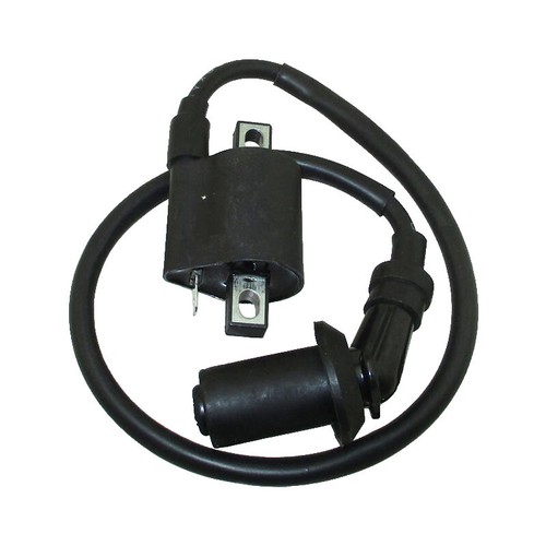 Ignition coil for - ignition,