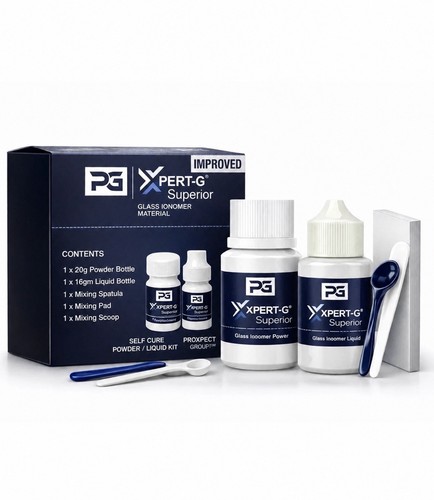 Dental permanant tooth - dental,