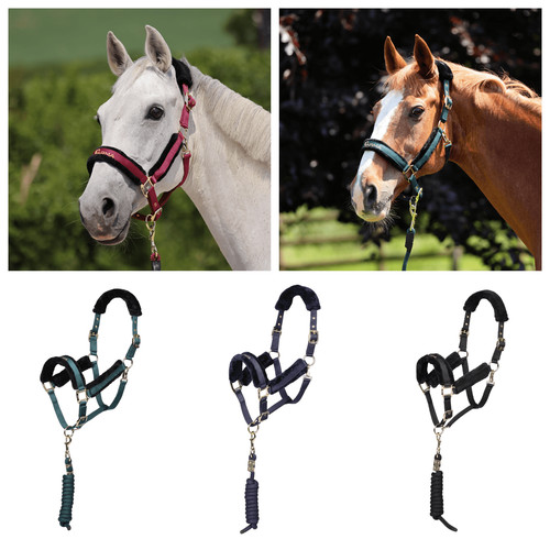 Shires arma logo headcollar - shires,