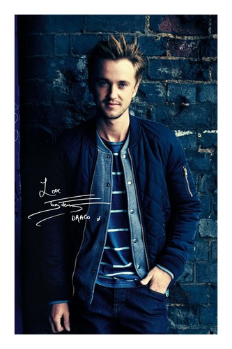 Tom felton draco - draco, harry