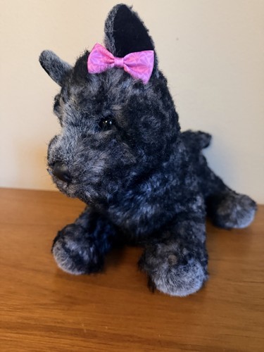 Douglas hazel cairn terrier - cairn,