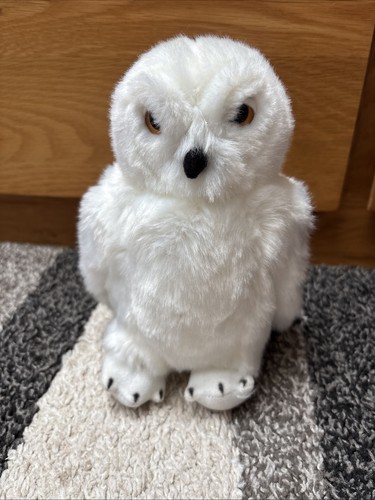 Hedwig white owl wizarding - owl,