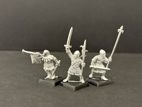 Warhammer bretonnian men - bretonnian,
