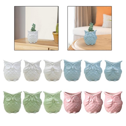 Flower pot owl shape - flower,