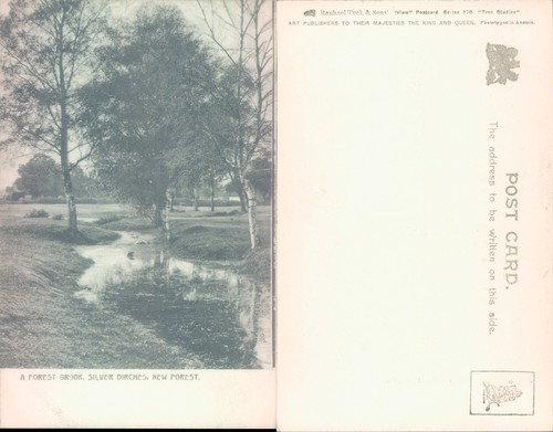 Forest brook with silver - a,