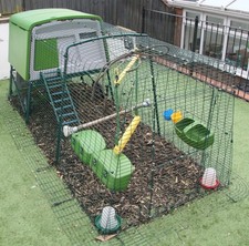 Omlet eglu cube chicken - eglu,