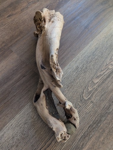 Driftwood cal beach - ca,