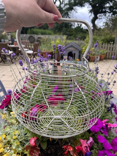 Large wire metal egg - egg, basket