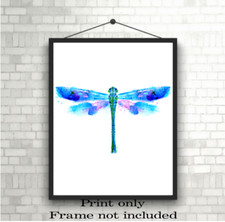Dragonfly A3, A4 or A5