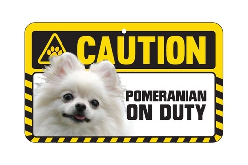 Dog sign caution - dog,