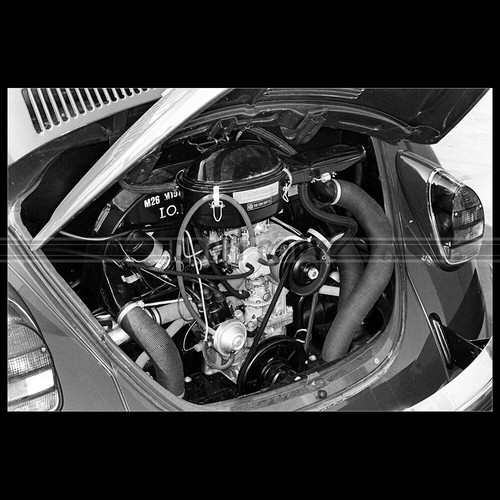Photo 038894 volkswagen - photo, vw