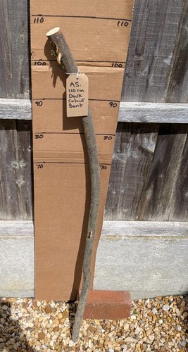 Blackthorn walking stick shank - blackthorn,