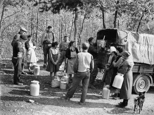 Peasant loading truck with - peasant,