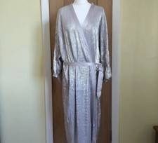 Gorgeous Silky Silver Dressing
