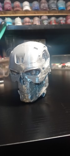 Terminator head 800 - head, model