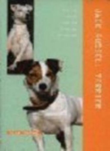 Jack russell terrier e - russell,